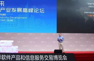 第十三屆中國南京軟博會開幕，聚焦互聯(lián)網(wǎng)信息服務新趨勢